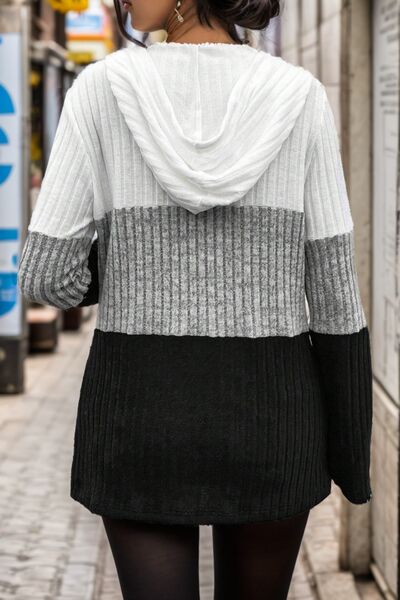Fenna colorblock sweater achteraanzicht met capuchon